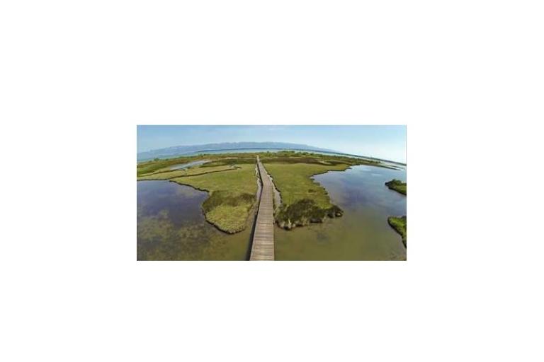 Apartments Anita – photo 10