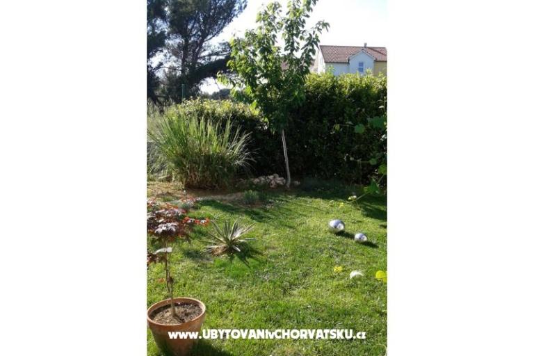 Apartments Anita – photo 2