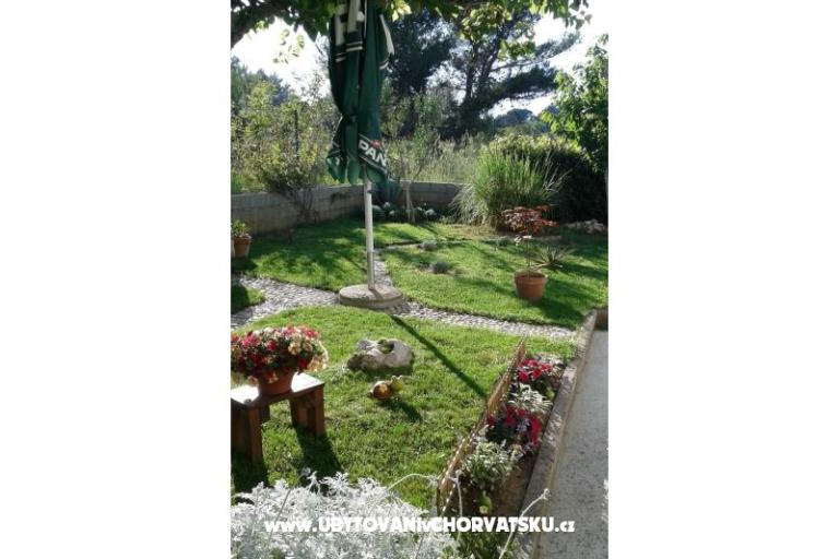 Apartments Anita – photo 3