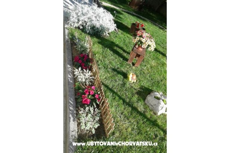 Apartments Anita – photo 5