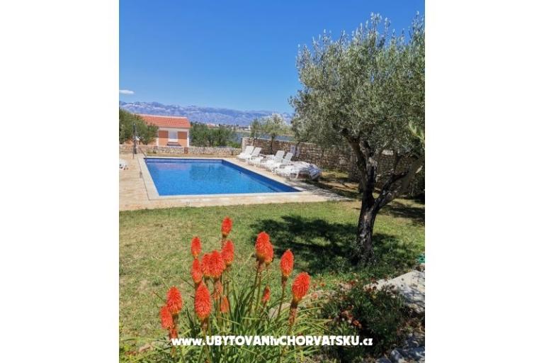 Apartments Ante – photo 3