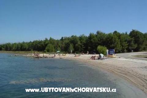 Apartments Dario – photo 2