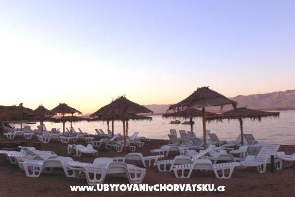 Apartments Dujlovic – photo 8