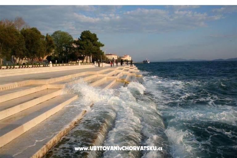 Apartments Elizabeta – photo 13