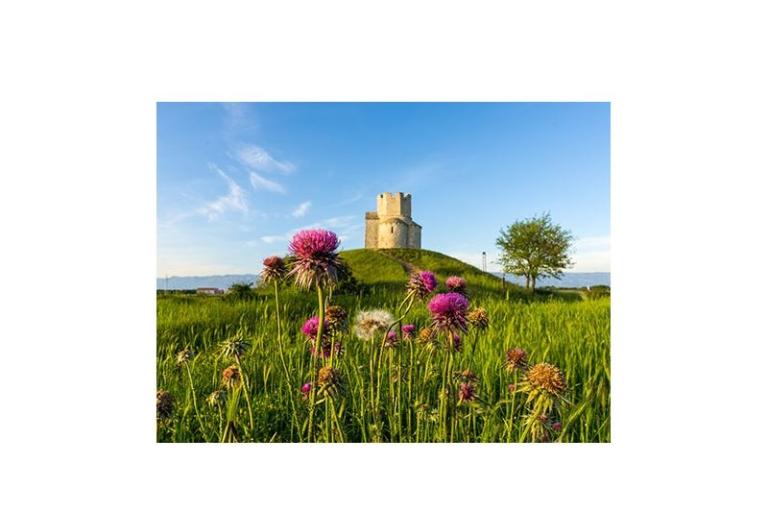 Apartments Elizabeta – photo 15