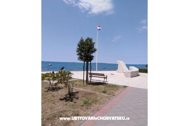 Apartments Jadranka Vrsi Mulo – photo 2