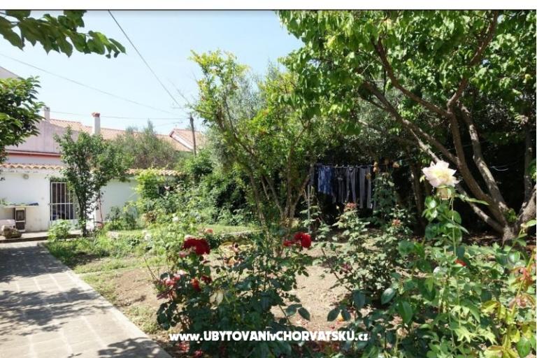 Apartments Nin-Island – photo 10