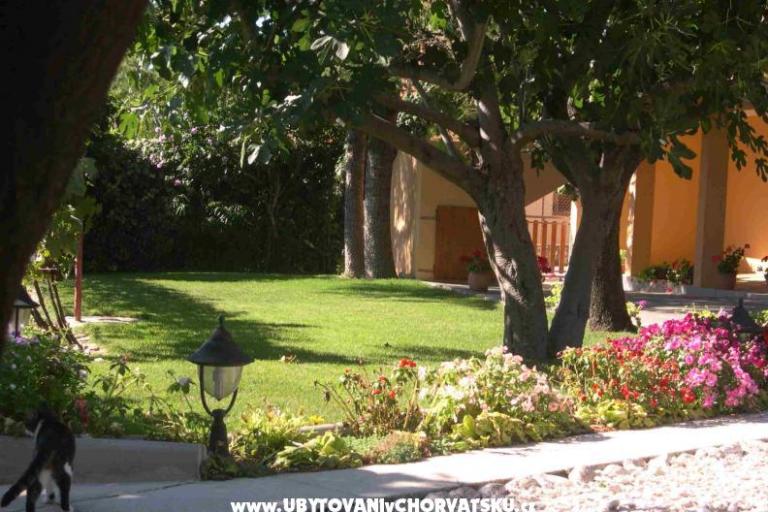 Apartments Mrdelja – photo 7