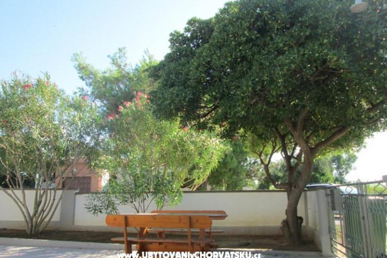 Apartments Roza – photo 4