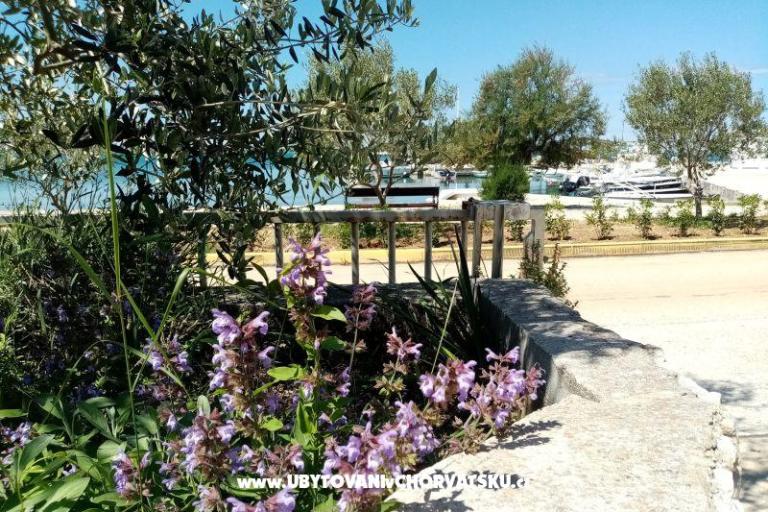 Apartments Skoljic – photo 12