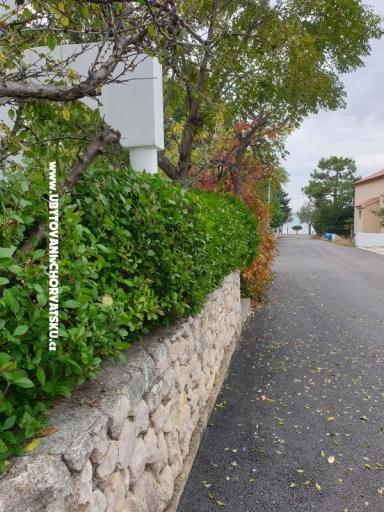 Apartments Ana – photo 3