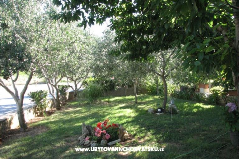 Apartments Baras – photo 4