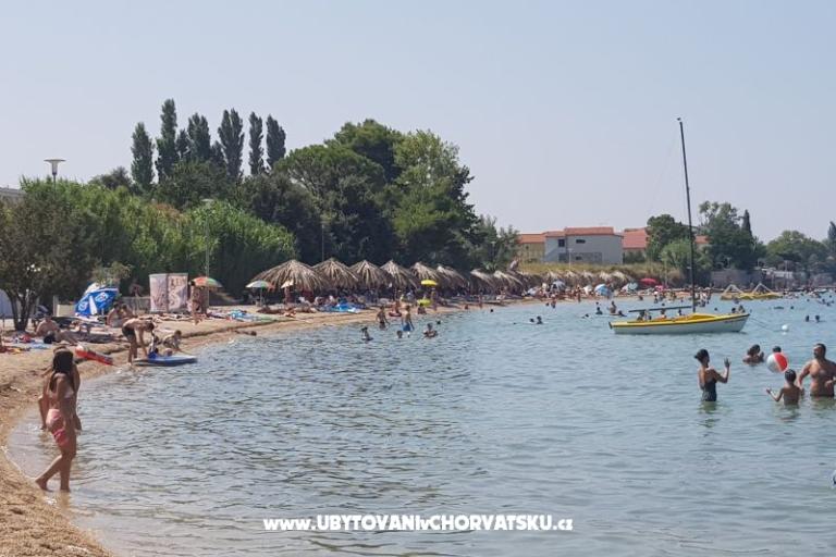 Apartments Sačer – photo 6