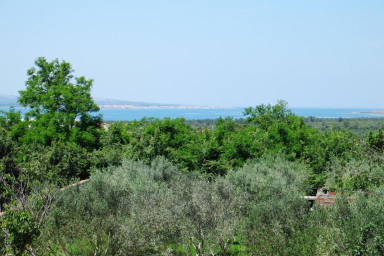 Apartments WINDROSE – photo 8