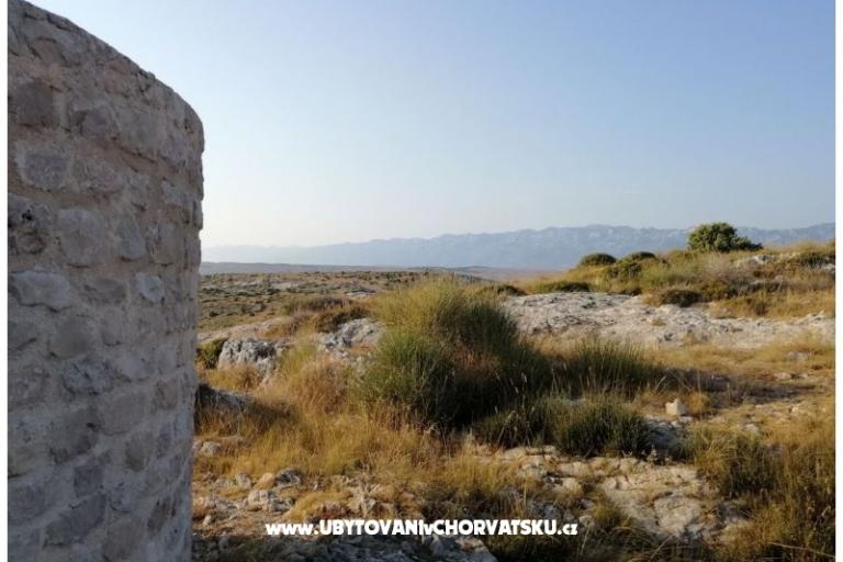 Apartments Seaside – photo 16