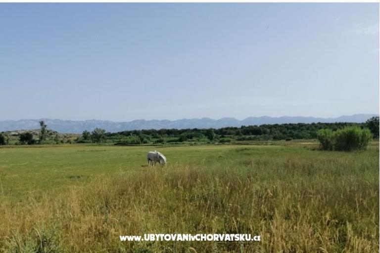 Apartments Seaside – photo 17