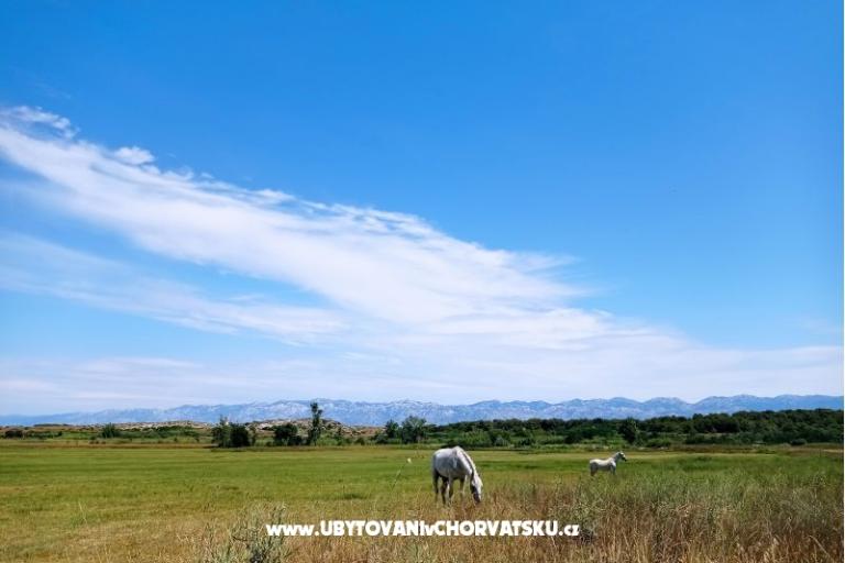 Holiday Home Eda – photo 13