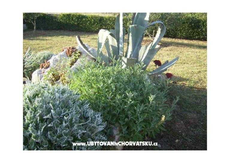 Apartment Ivona – photo 15