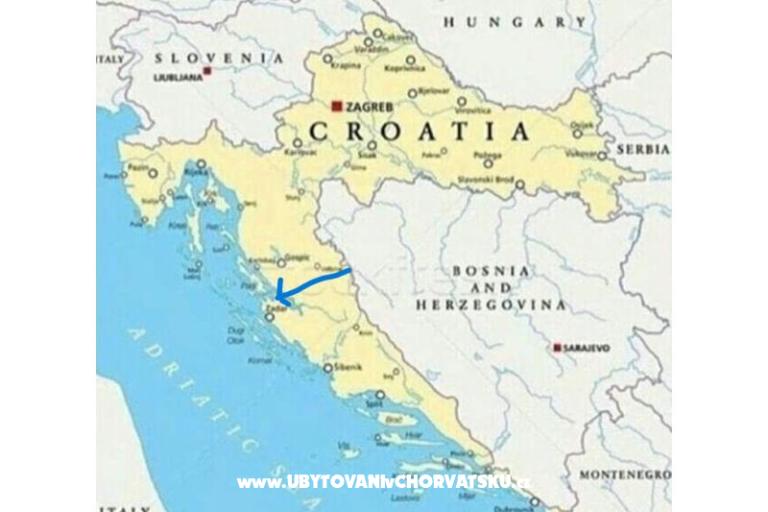 Kata Nin – photo 13