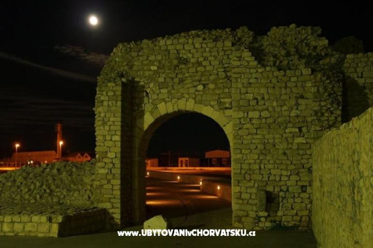 Kata Nin – photo 14