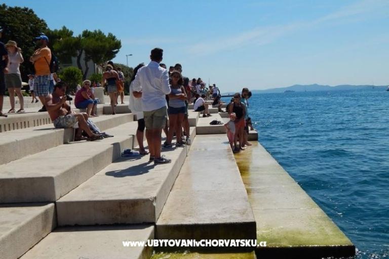 Kata Nin – photo 15