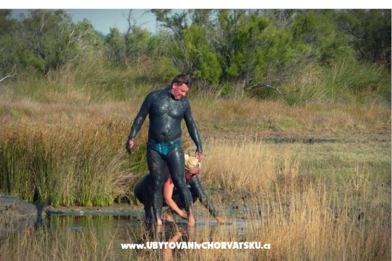 Kata Nin – photo 21