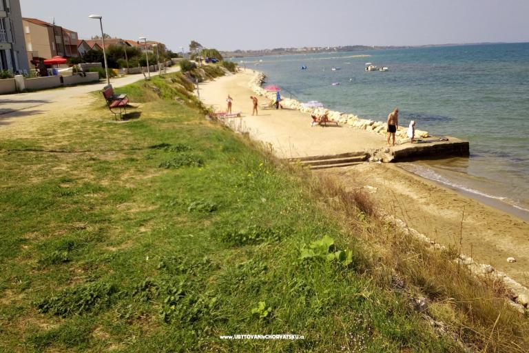 Kata Nin – photo 7