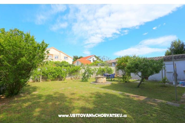 Melia Nin – photo 5