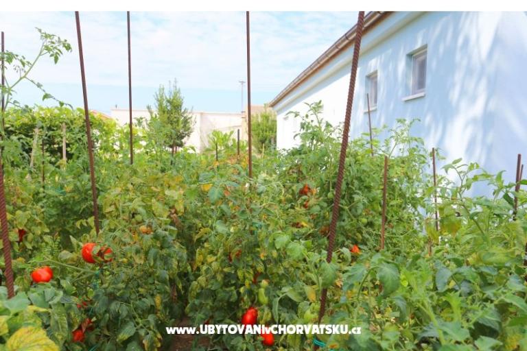 Holiday Home POMALO – photo 15