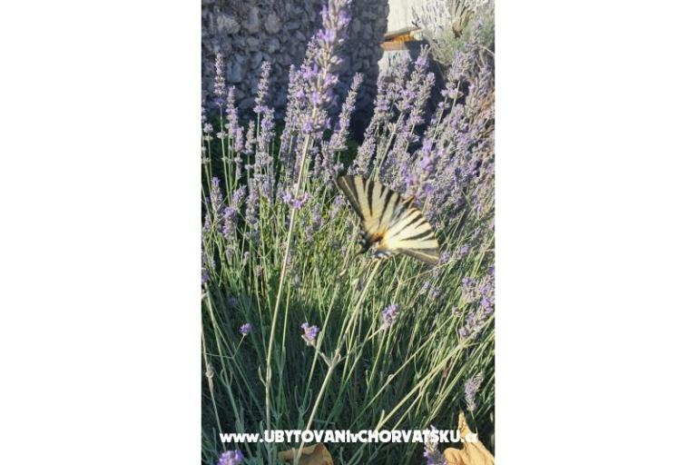 Holiday Home POMALO – photo 26