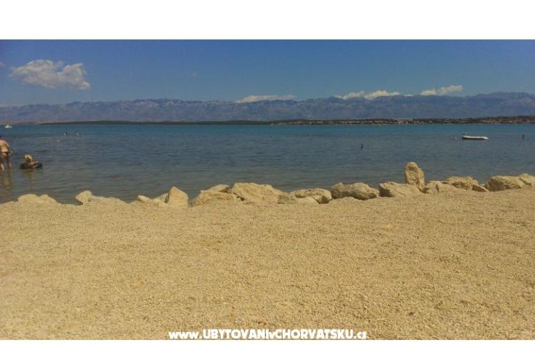 Radman – photo 13