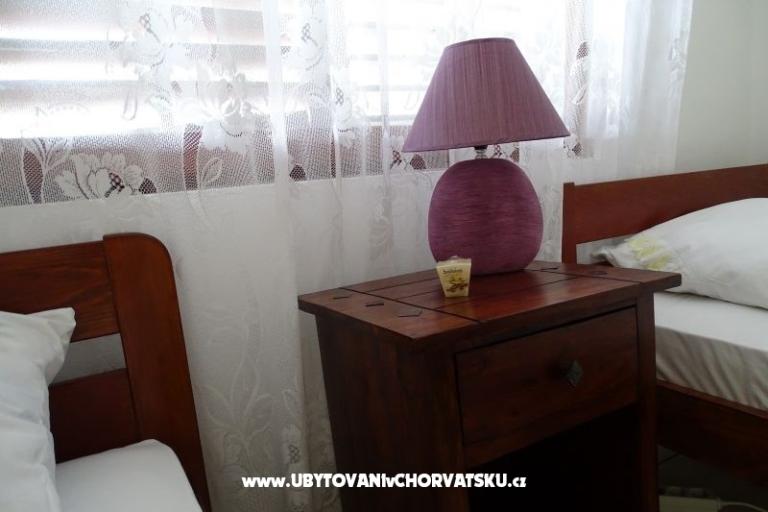 Rose – photo 14