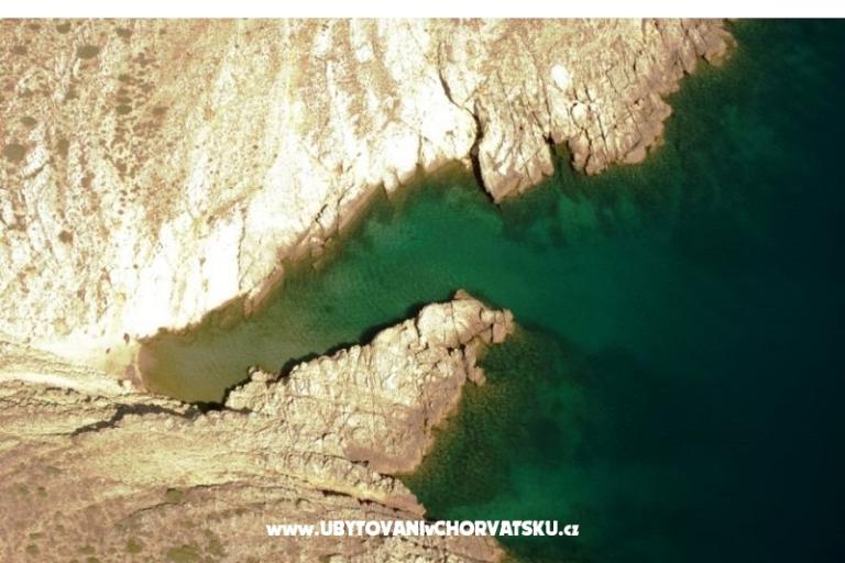 Oasis Apartments – photo 7