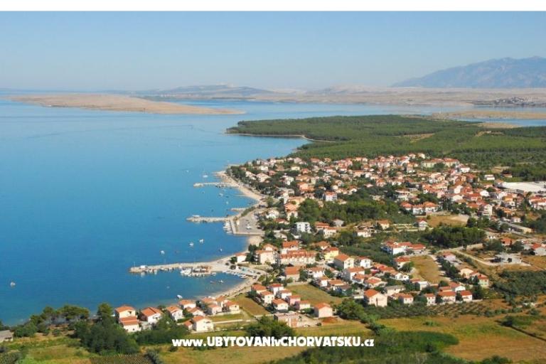 Apartments Sirena – photo 6