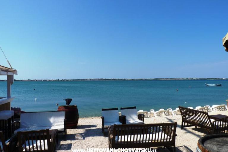 Apartments Sirena – photo 9