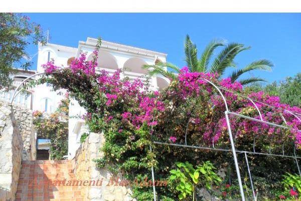 Apartment-hotel MacAdams – photo 3