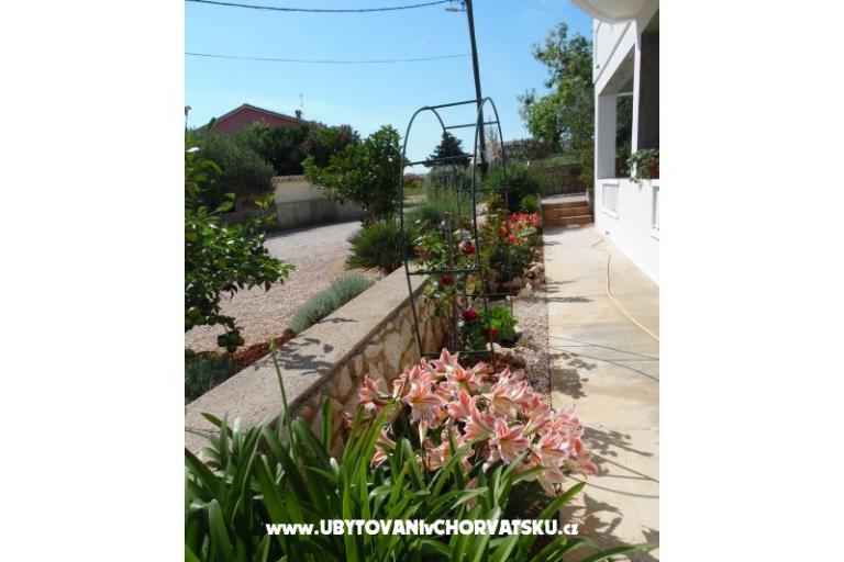 Apartments Dabo – photo 11