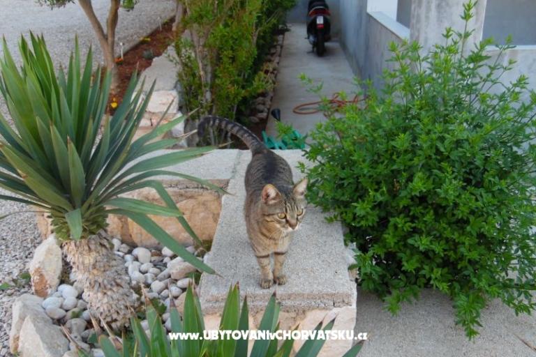 Apartments Dabo – photo 19