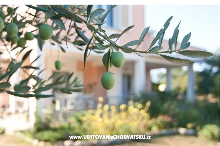 Apartments Danijela – photo 7