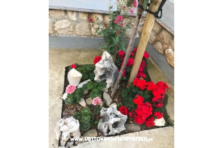 Apartments Katarina – photo 18