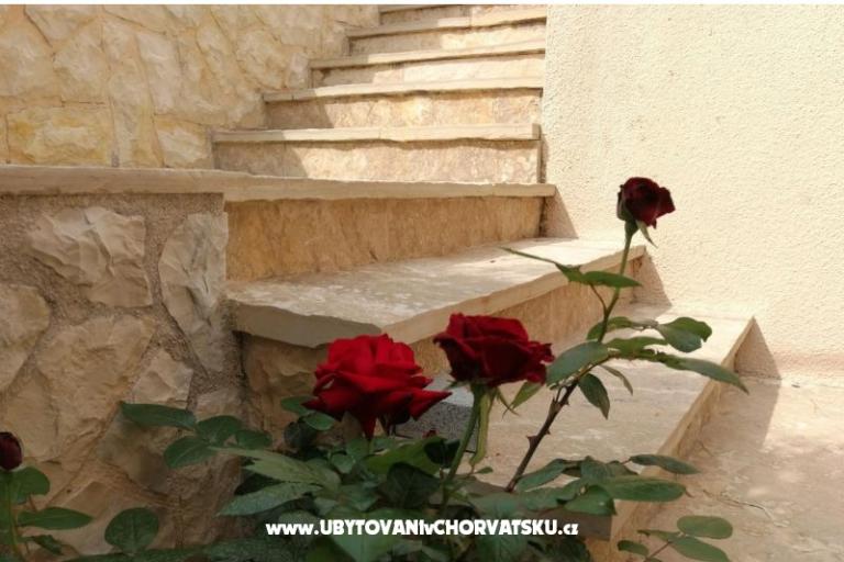 Apartments Egidio – photo 4