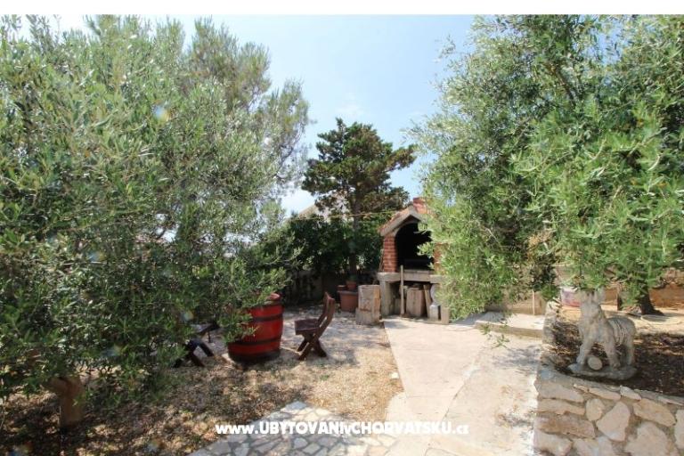 App Stanko – photo 12