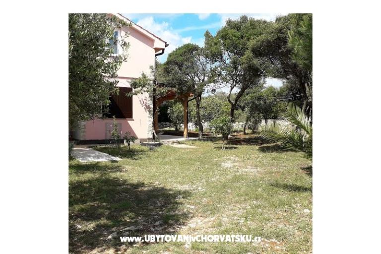 Bungalow Petrović – photo 12
