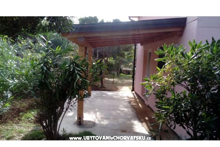 Bungalow Petrović – photo 5