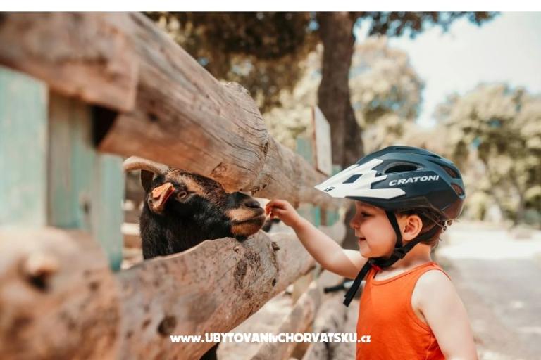 Mobile Home Luna - Camp Straško – photo 10