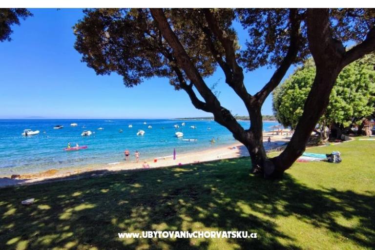 Mobile Home Luna - Camp Straško – photo 7