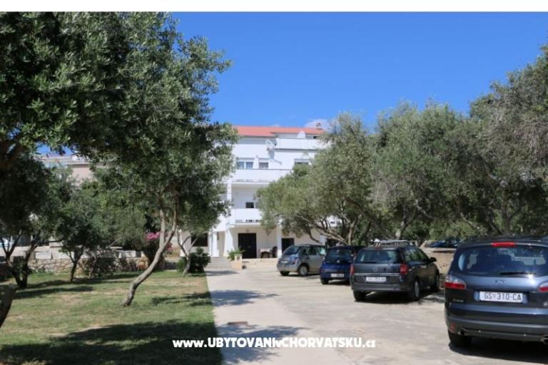 Apartments Milka Novalja – photo 13
