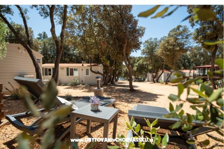 House Sookie – photo 10