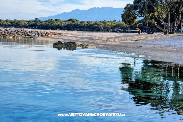 House Sookie – photo 26