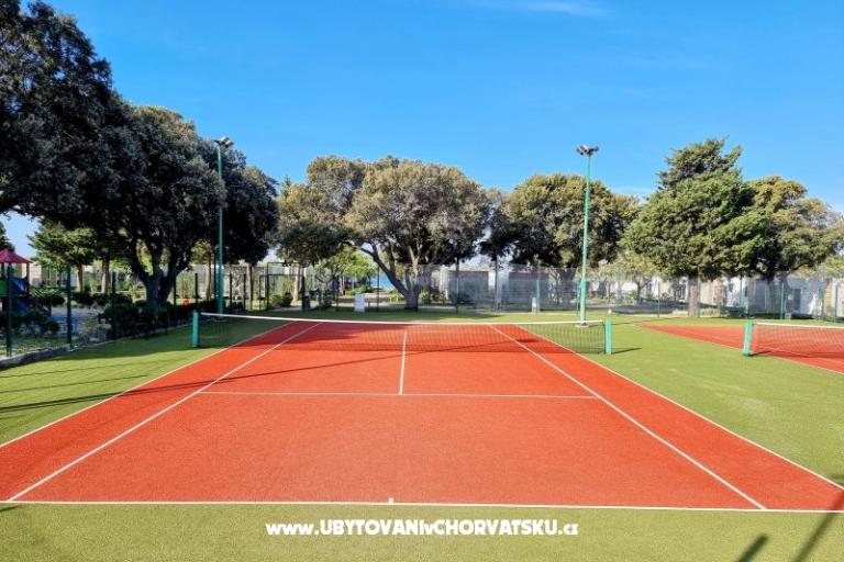 House Sookie – photo 38